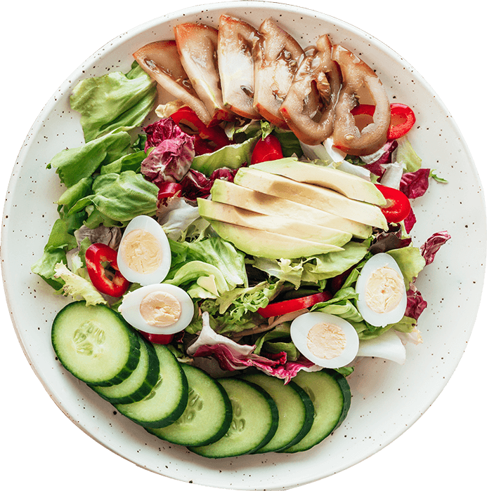 dieta personalizada online